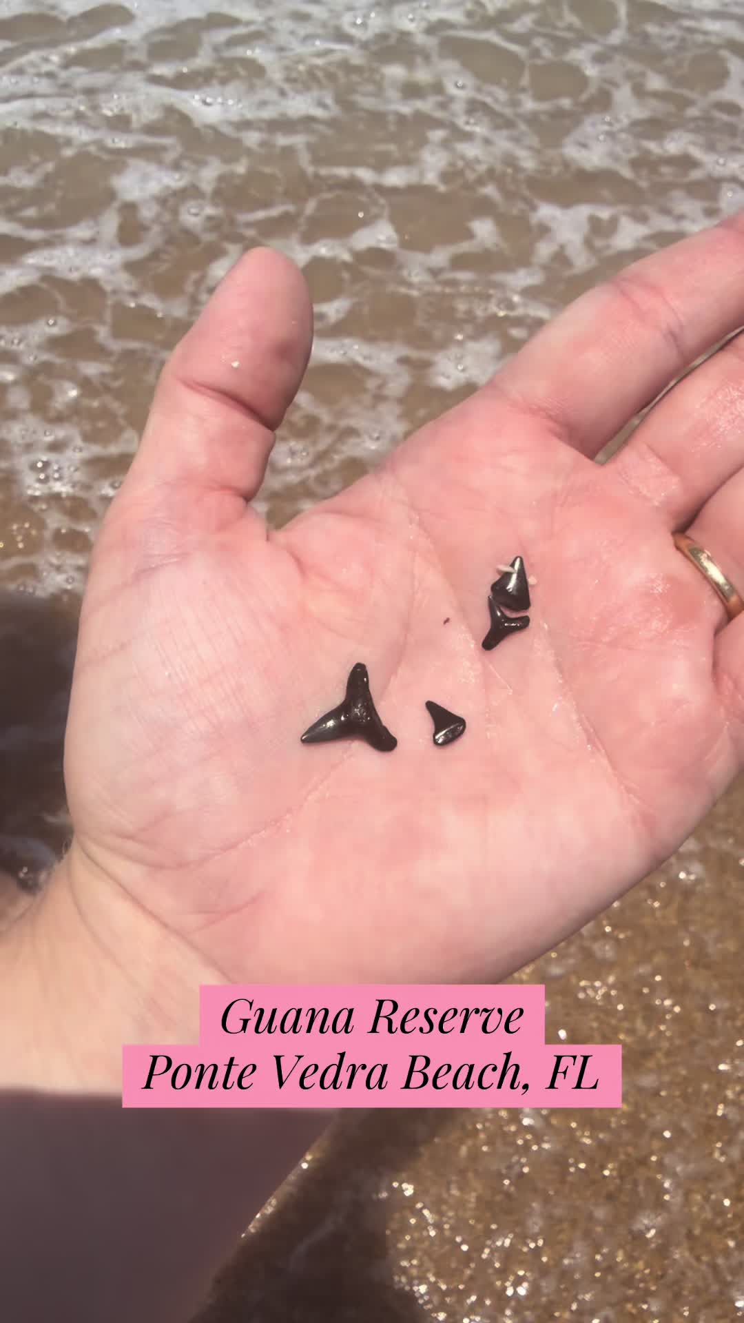 @adventurewithwhit