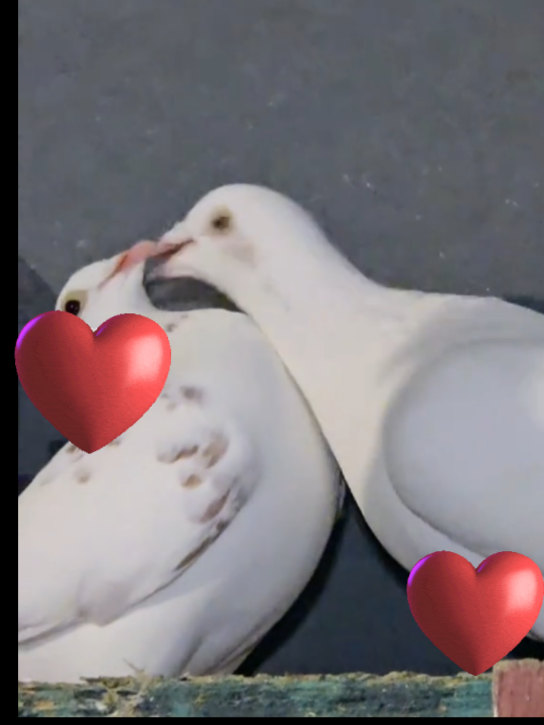 @Mariela 💖