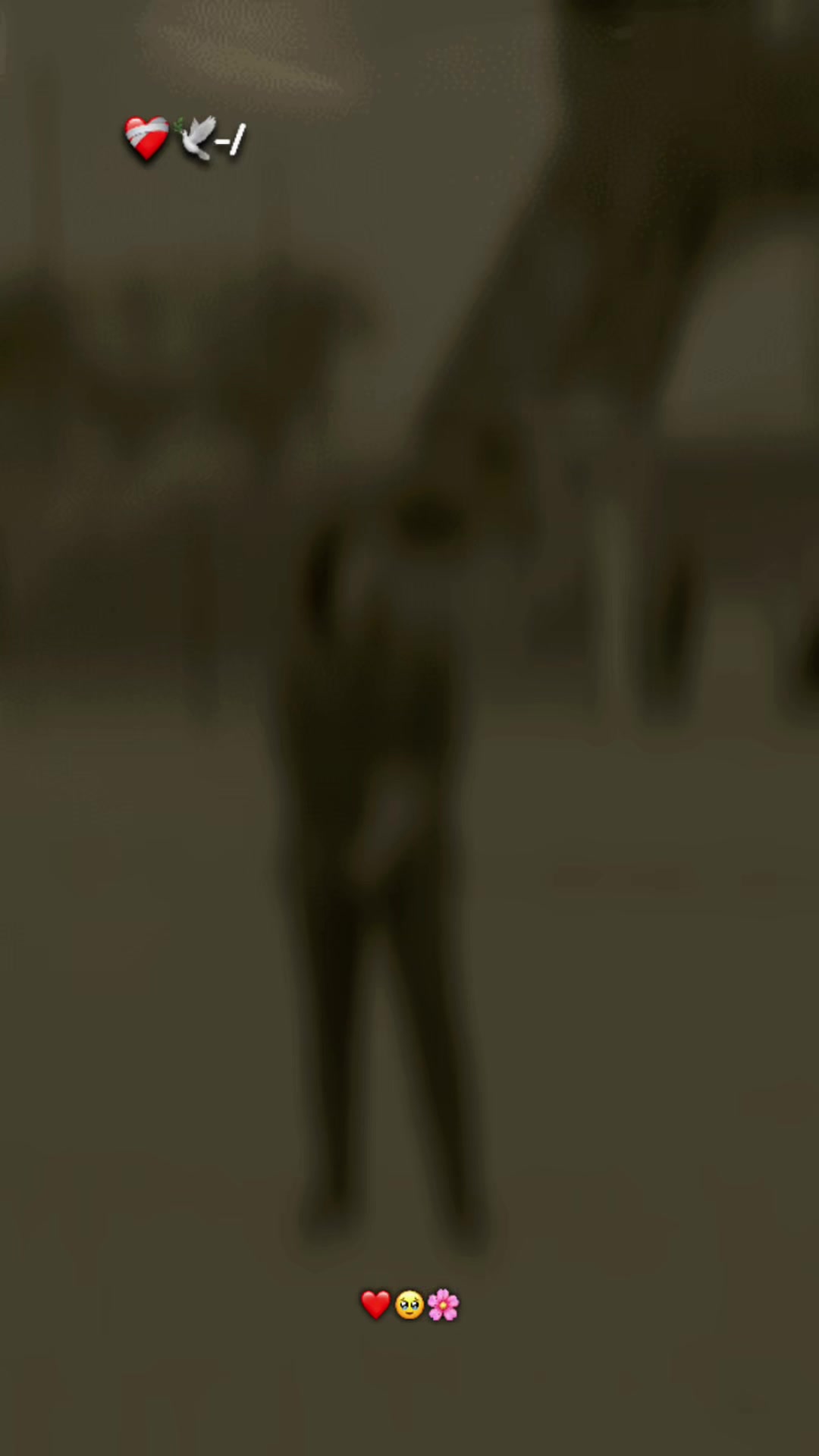 @Z̷K̷ ̷7̷
