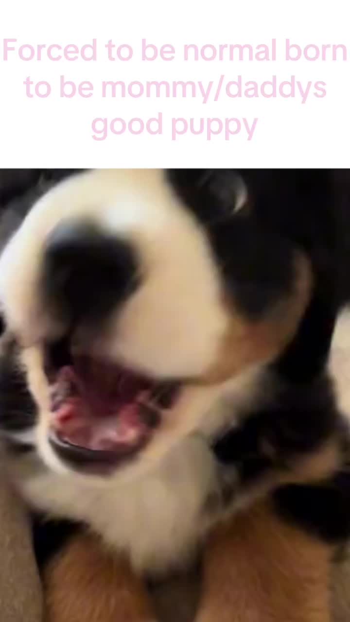 @mimi🐾