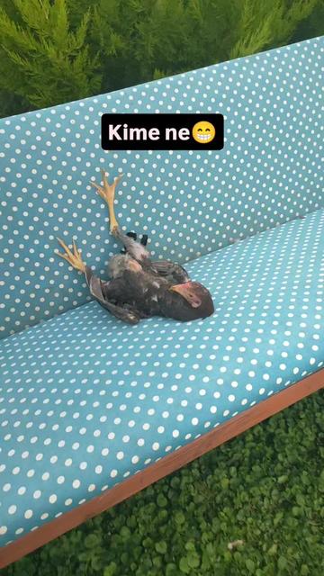@☀⃝💃𝗕İ𝗭İ𝗠 🇹🇷 𝗞𝗜𝗭 ☀⃝💃