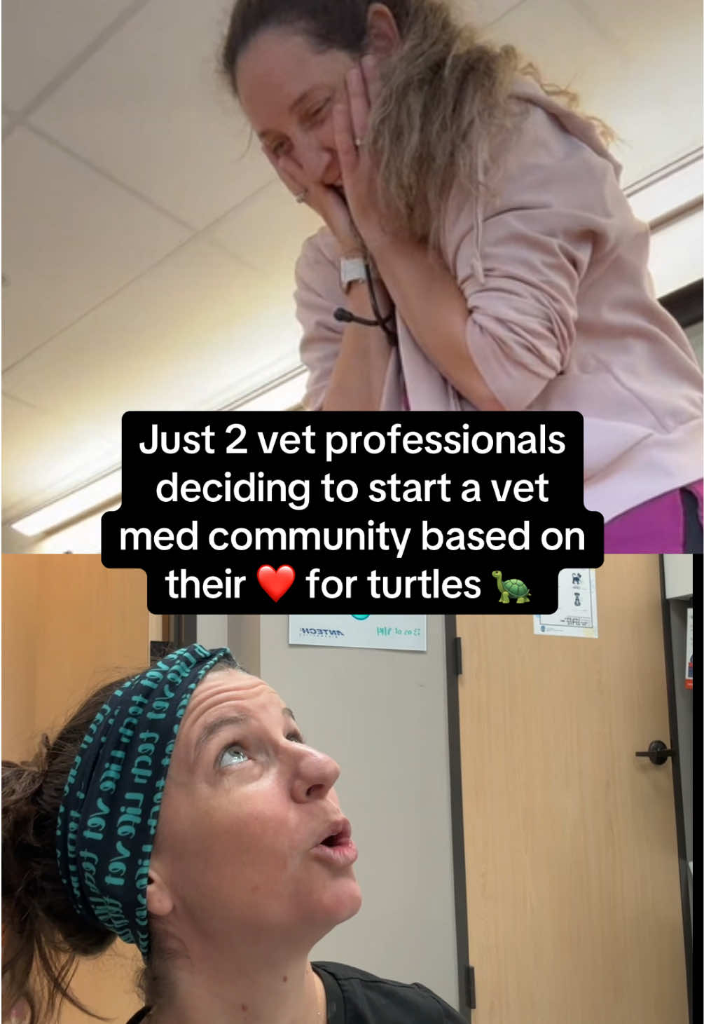 @sarahparsonslvt
