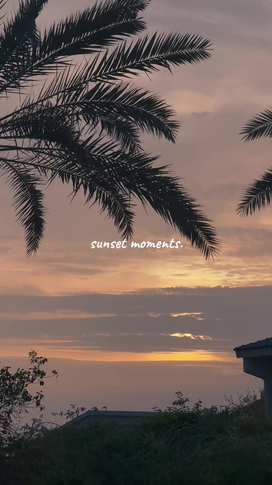 @منتصف🪞