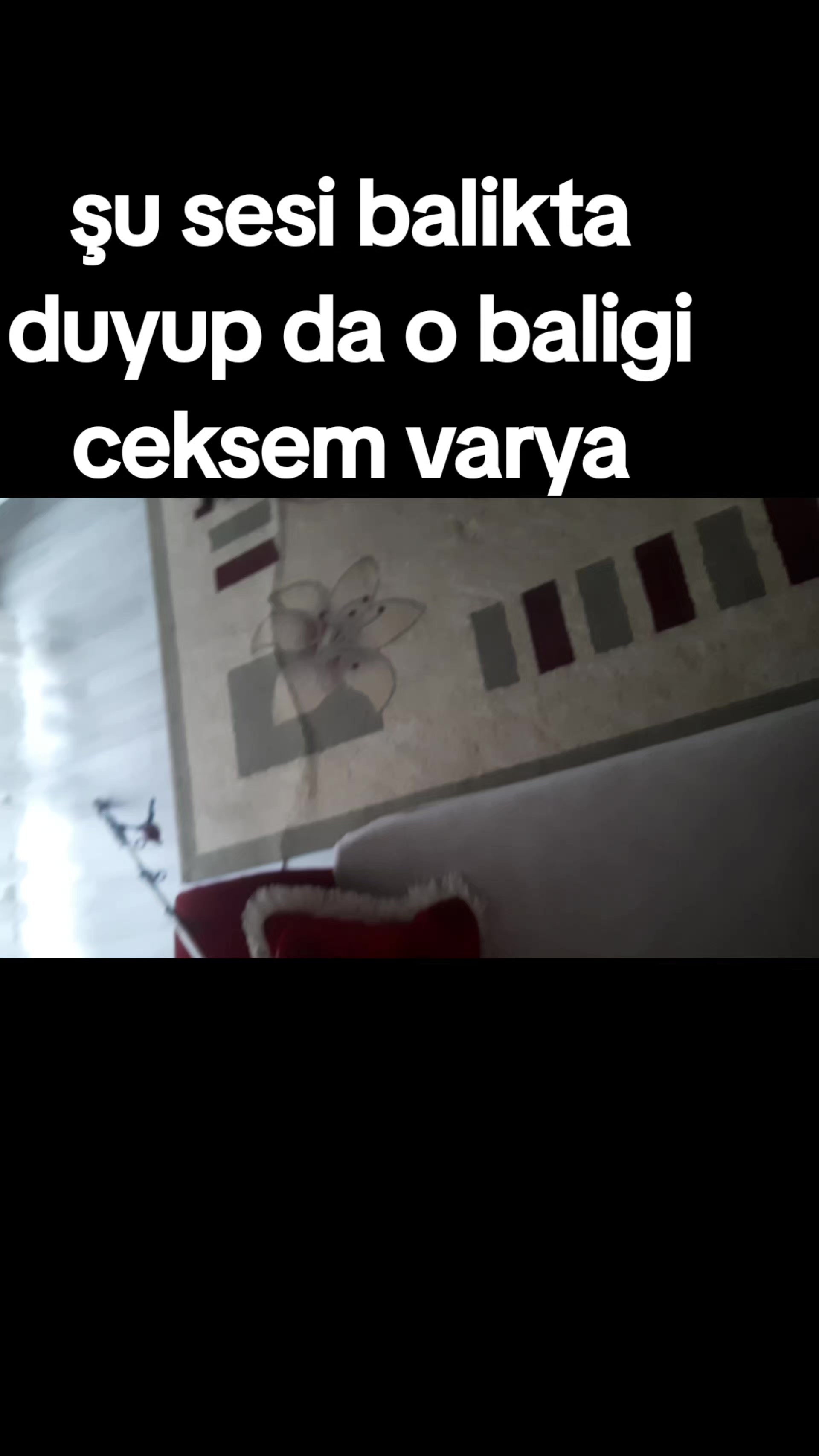 @NEXUS