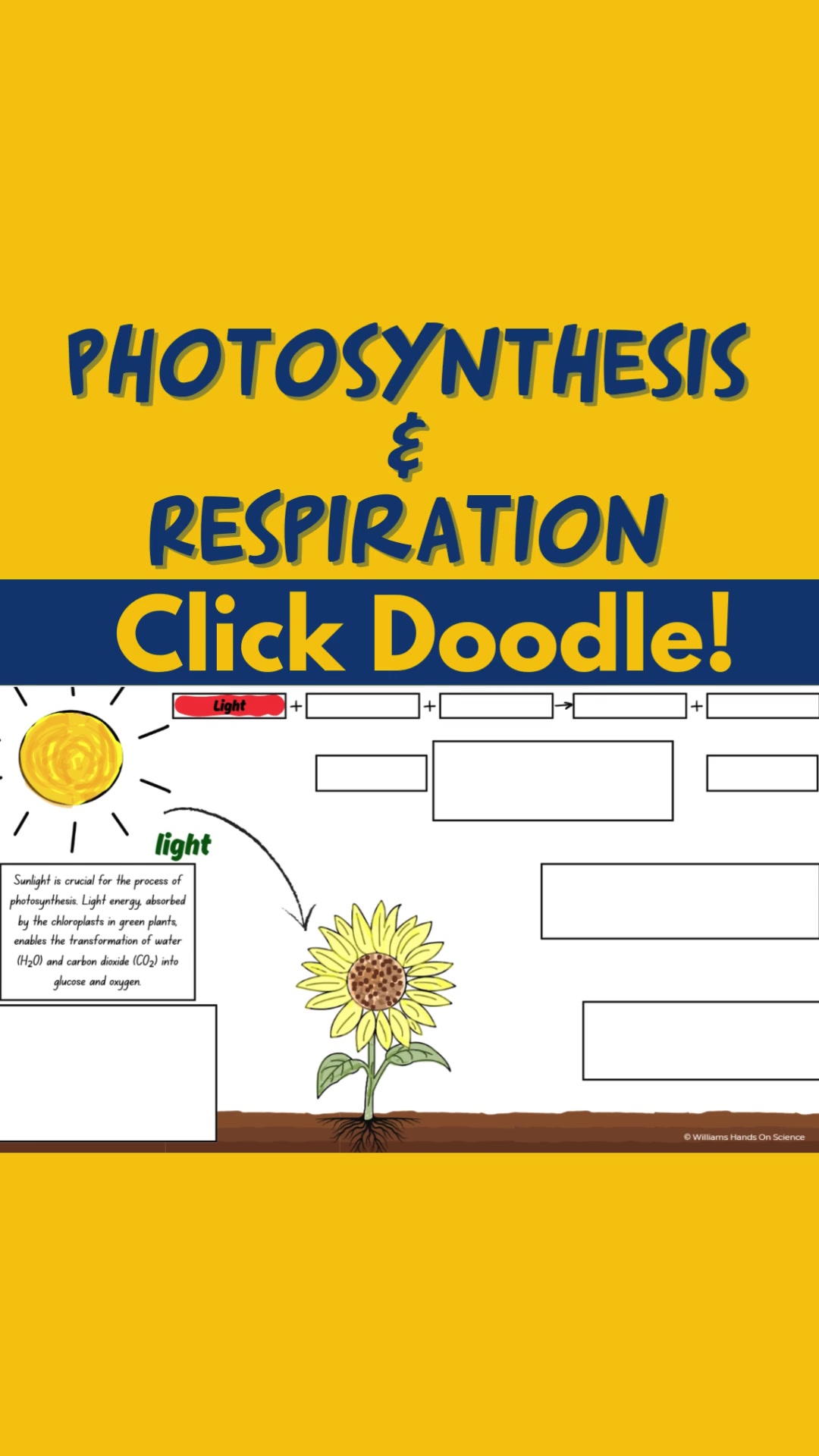 @NGSS STEM Lessons & Activities