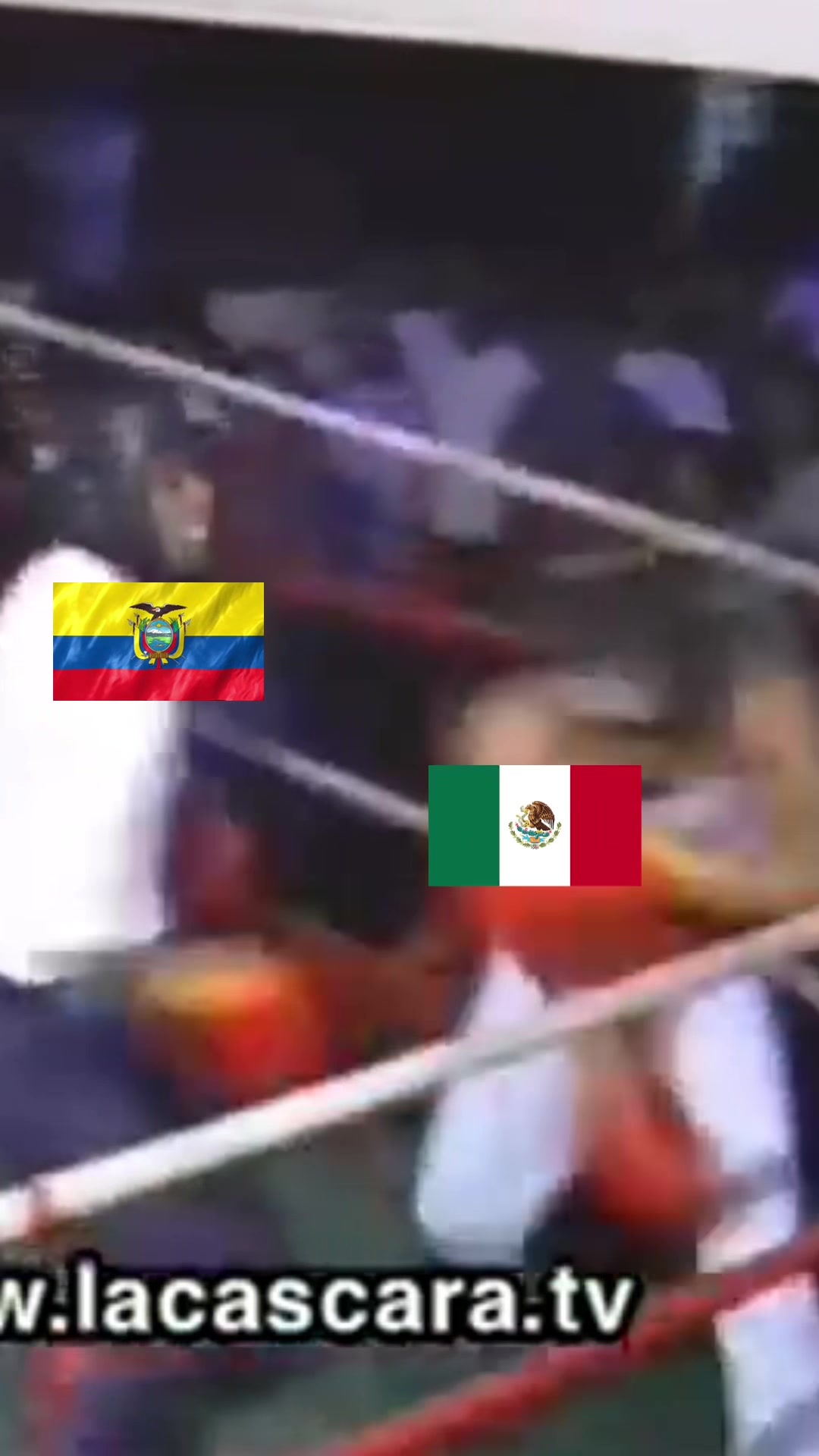 @Soysuco
