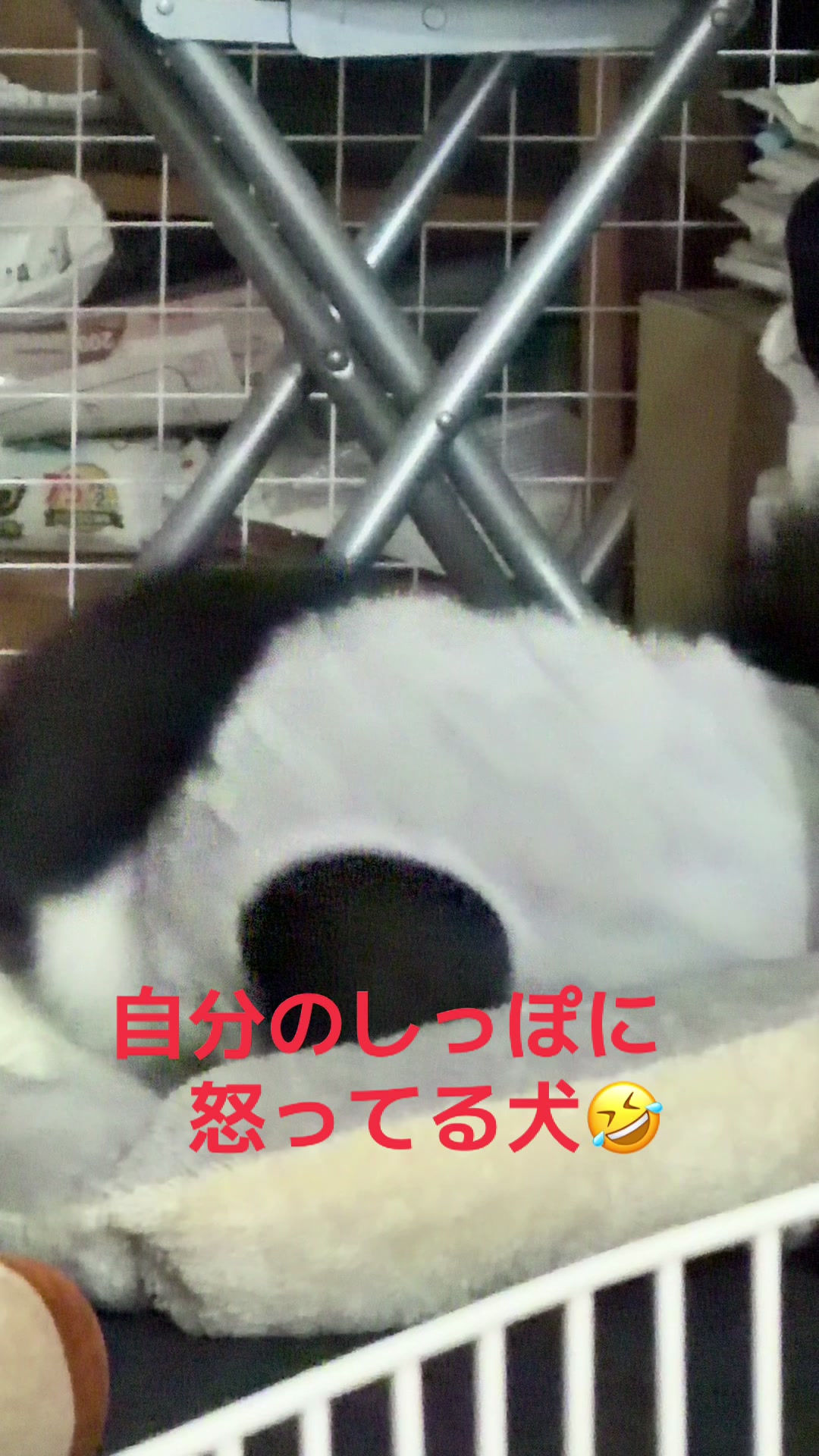 @mak☺︎t☺︎💕(山元)
