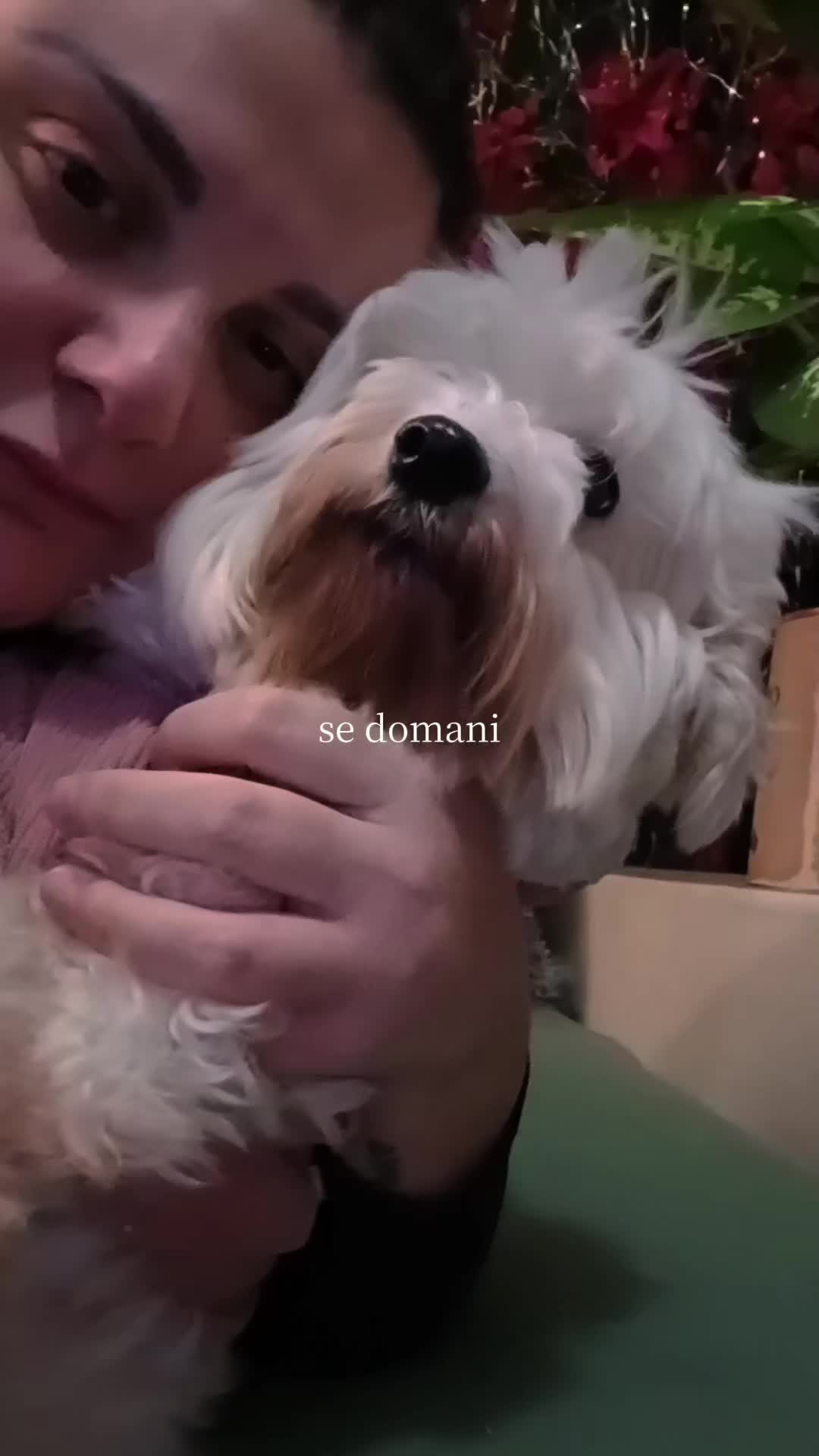 @cate con la kappa