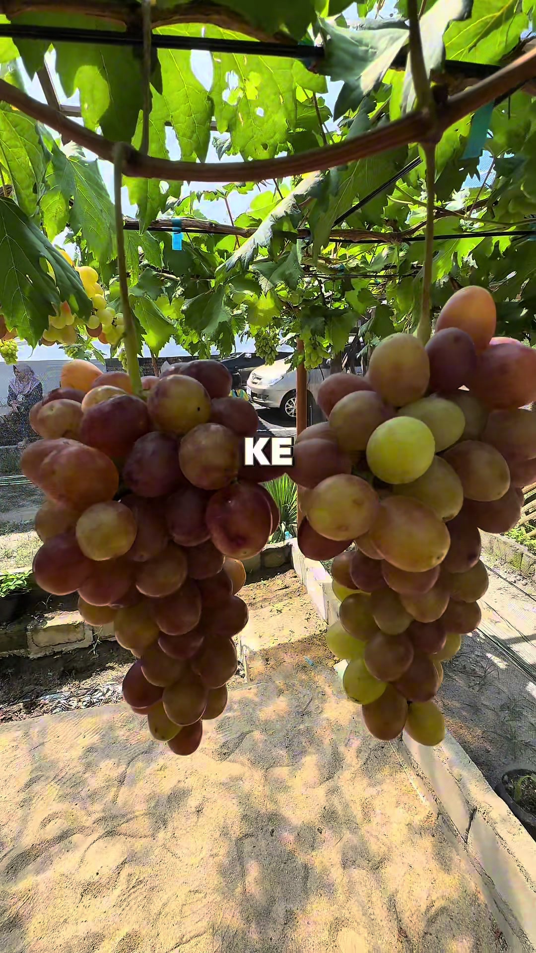 @Kuliner Bangka Belitung Viral