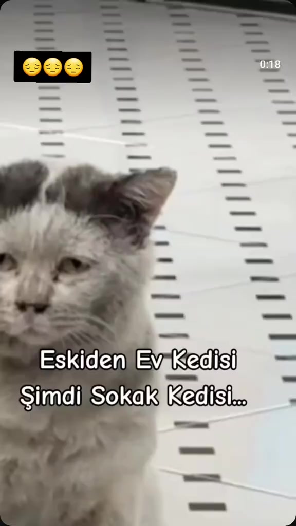 @MUSTAFA38