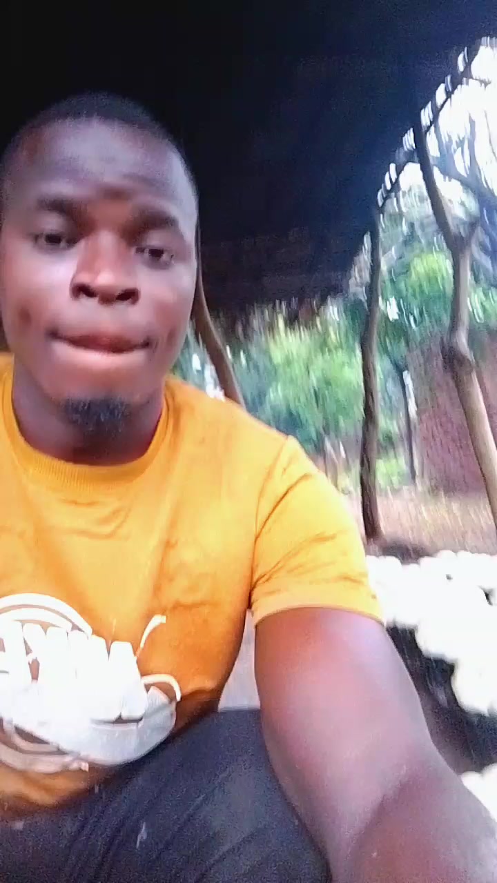 @mathews ekwenia