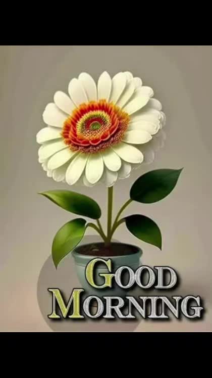 @Sai Meena