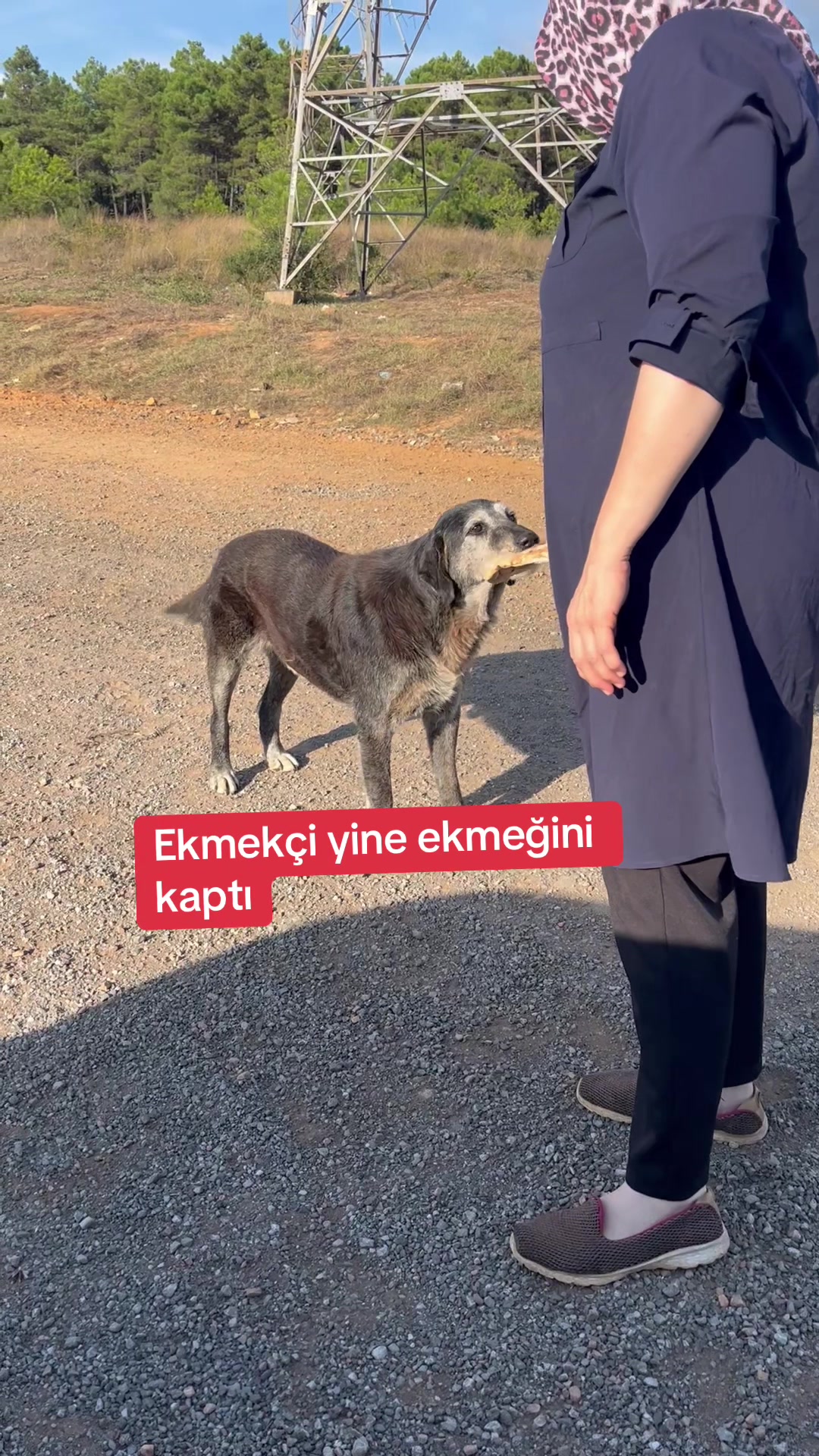 @Gönül Özcanlı