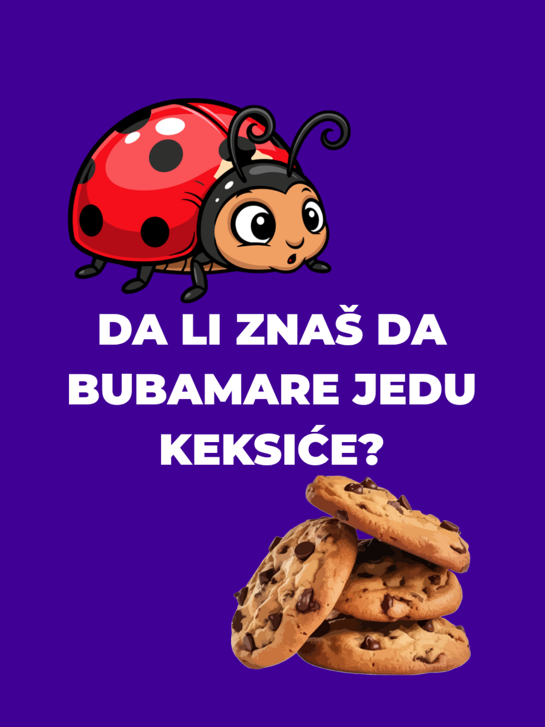@Ana Vaspitač