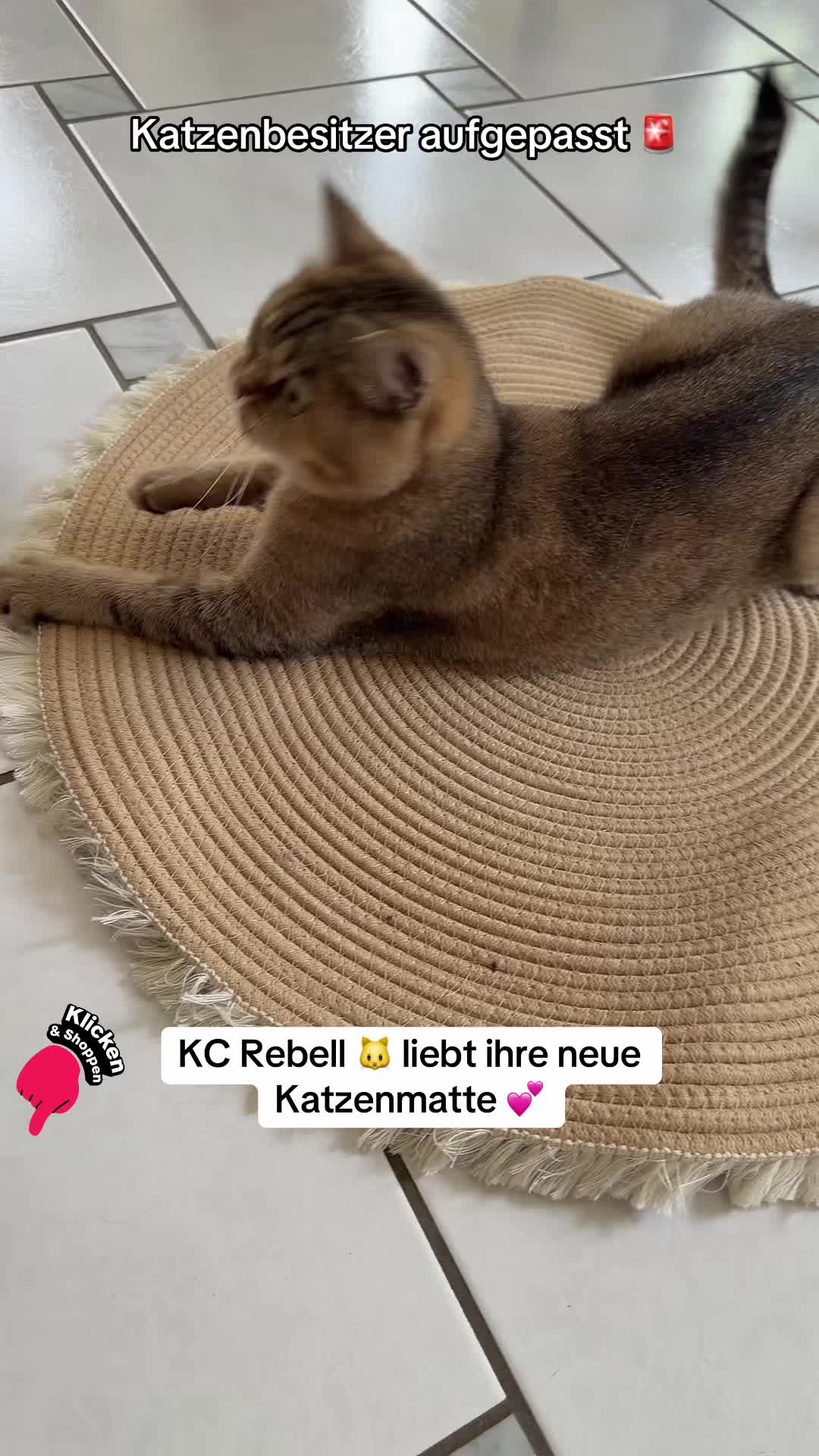 @FitJess