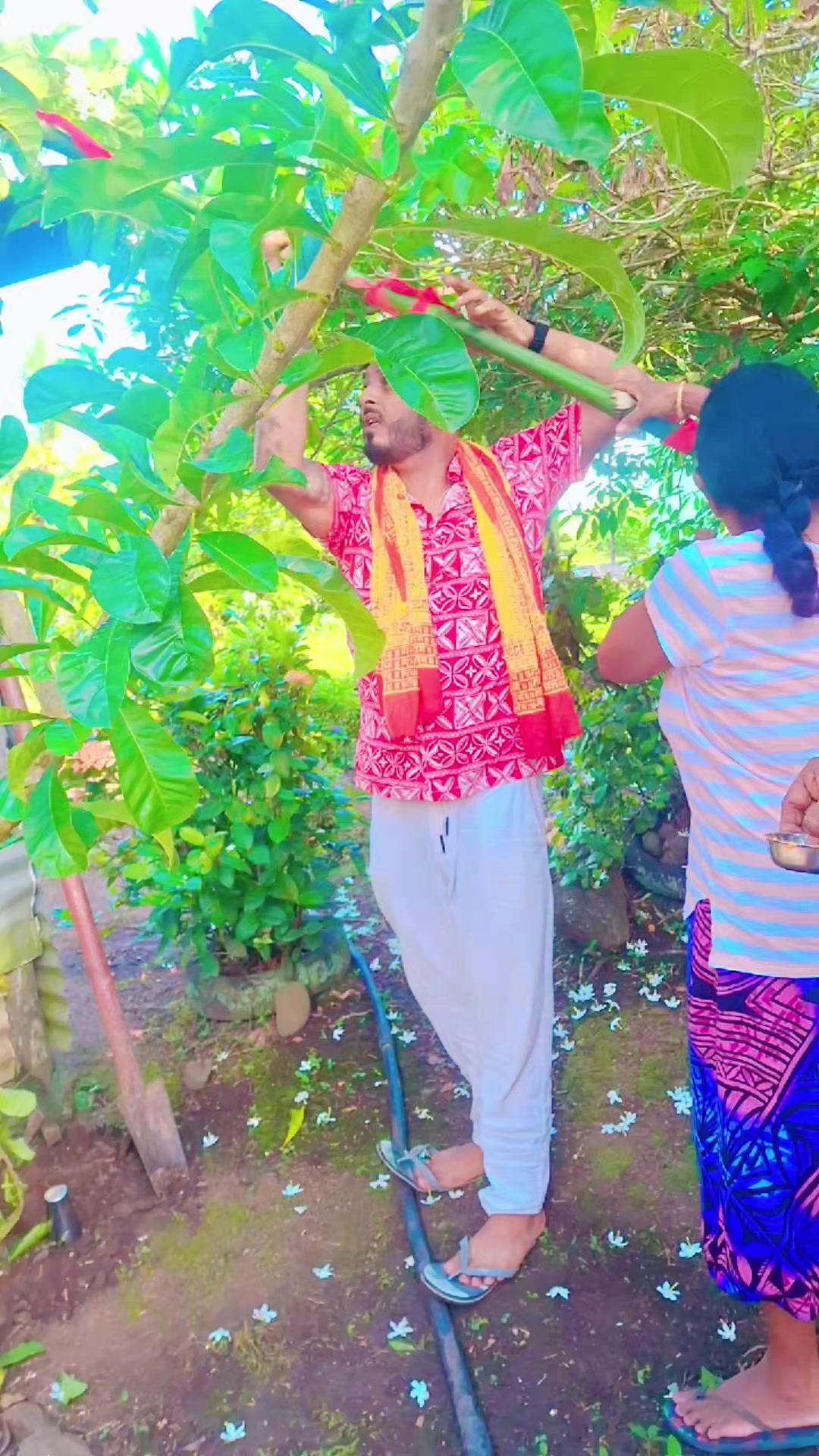 @𝑷𝒓𝒂𝒗𝒊𝒏𝒆𝒔𝒉💚𝐬𝐡𝐨𝐧𝐚