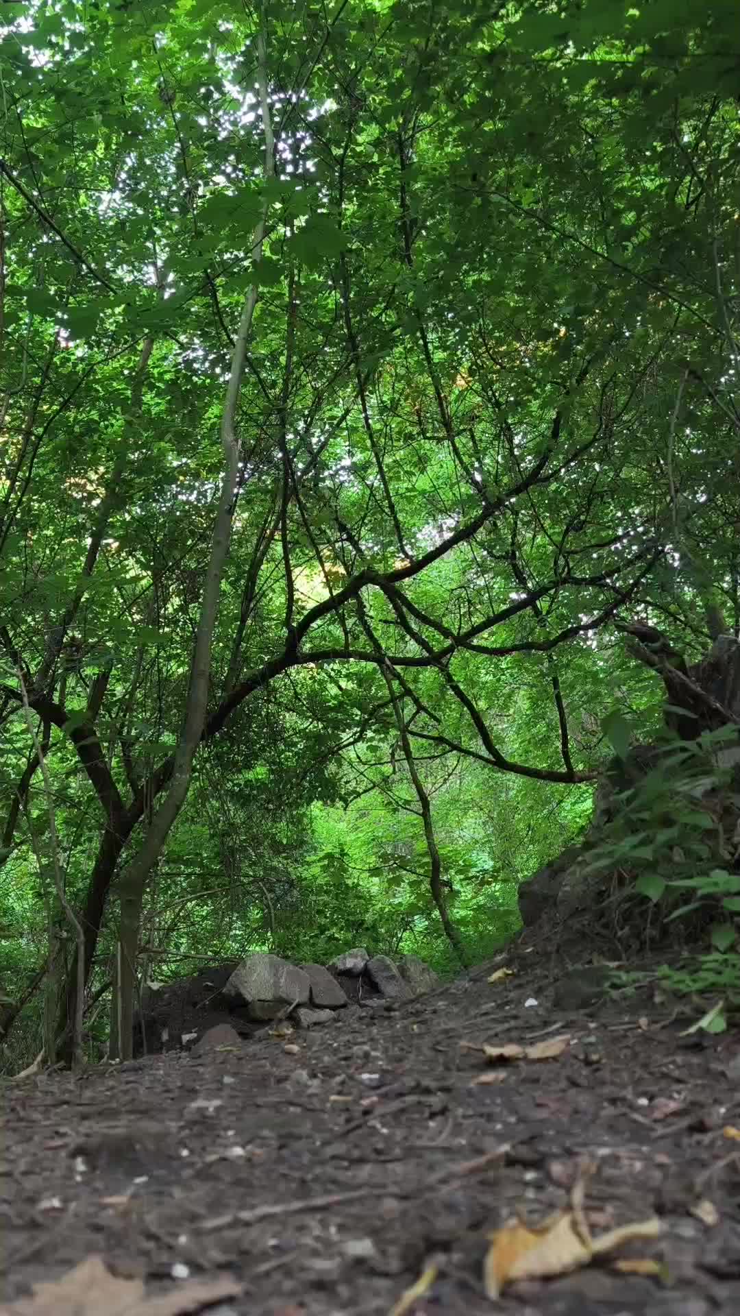 @LX_On_MTB