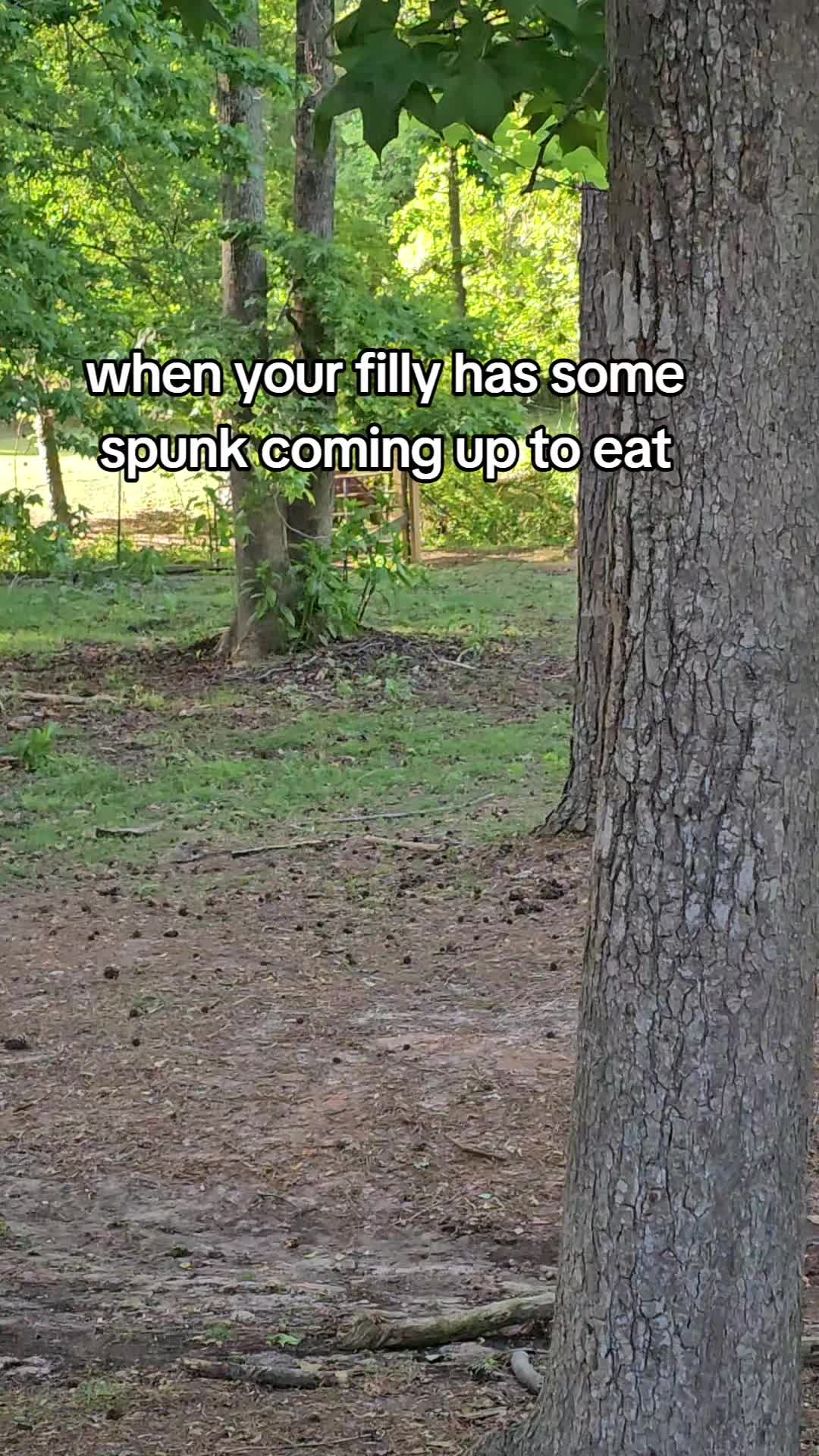 @southerncowgirl