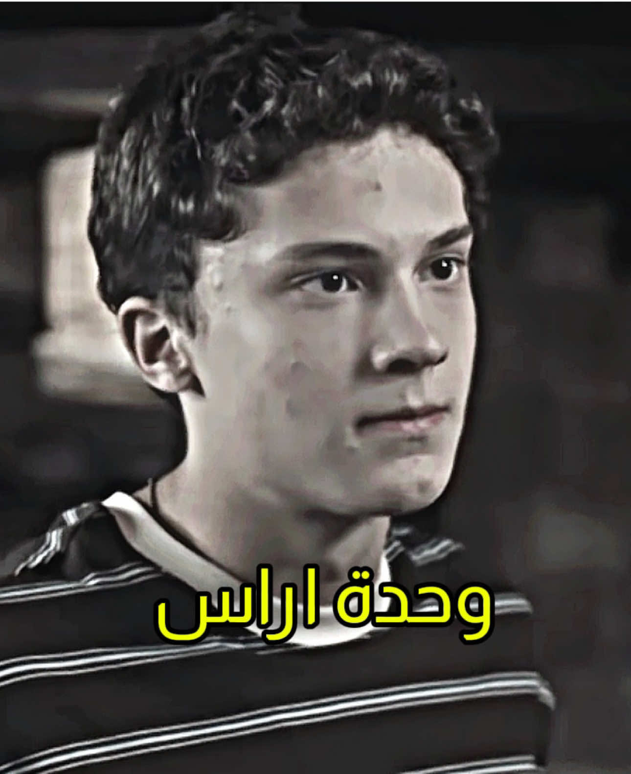 @Shef🦉