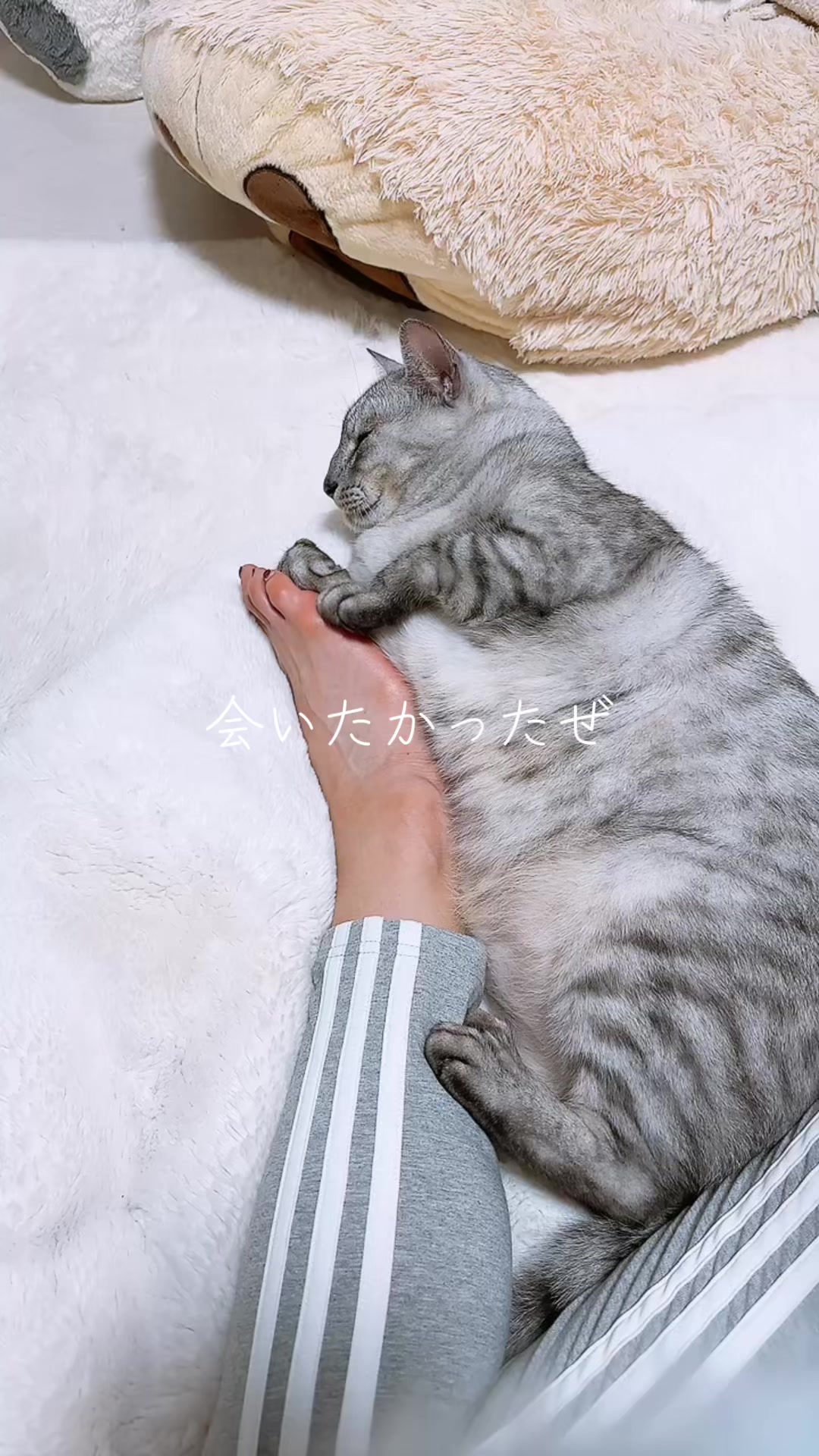 @そぉーちゃん🍷🐈soochan