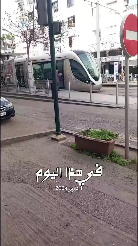 @بشرى أمل497