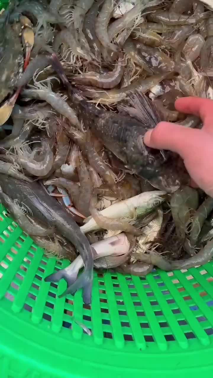 @SALTWATER SAB OUTDOORS