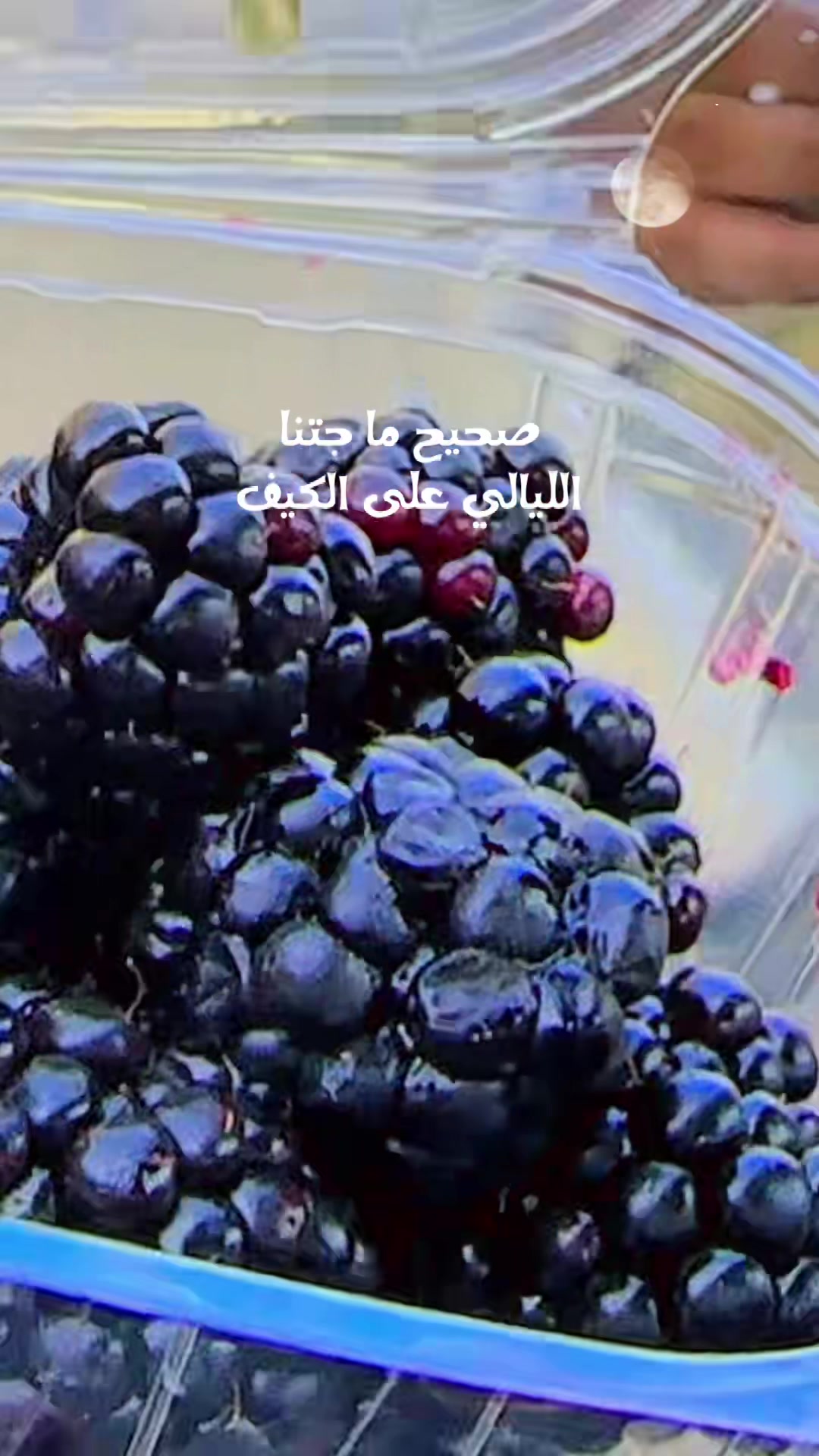 @الزهراني