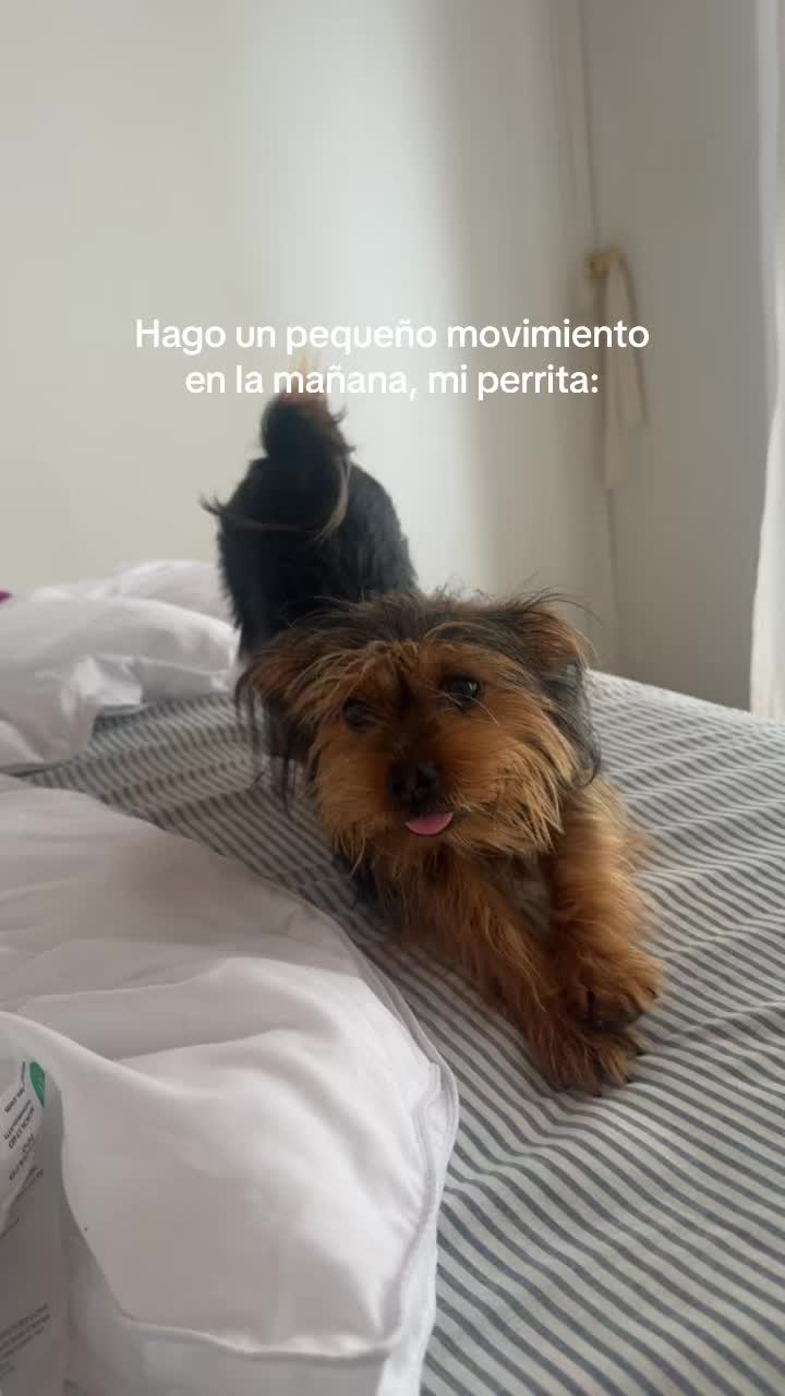 @Alen Lopez Quiros
