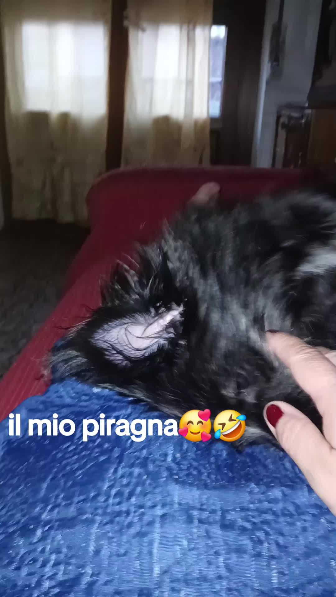 @iryendamyaida❤️