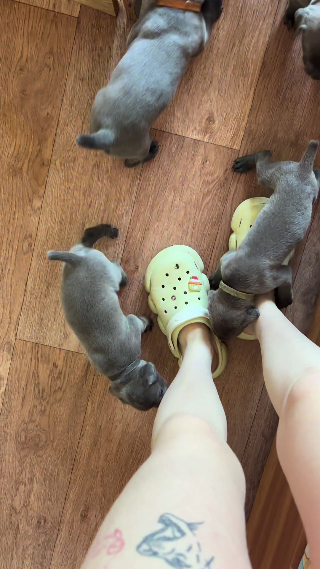 @𝐌𝐀𝐑𝐂𝐈
