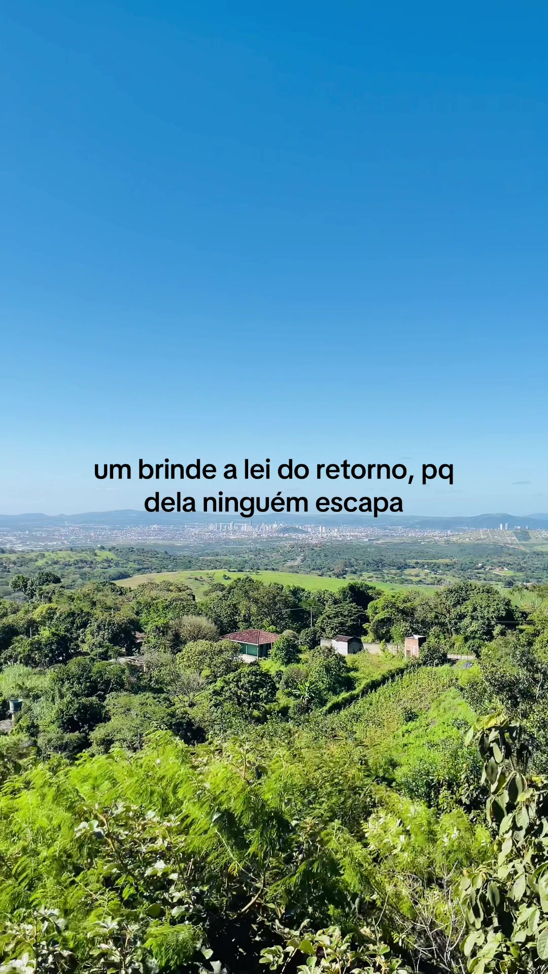 @dandara