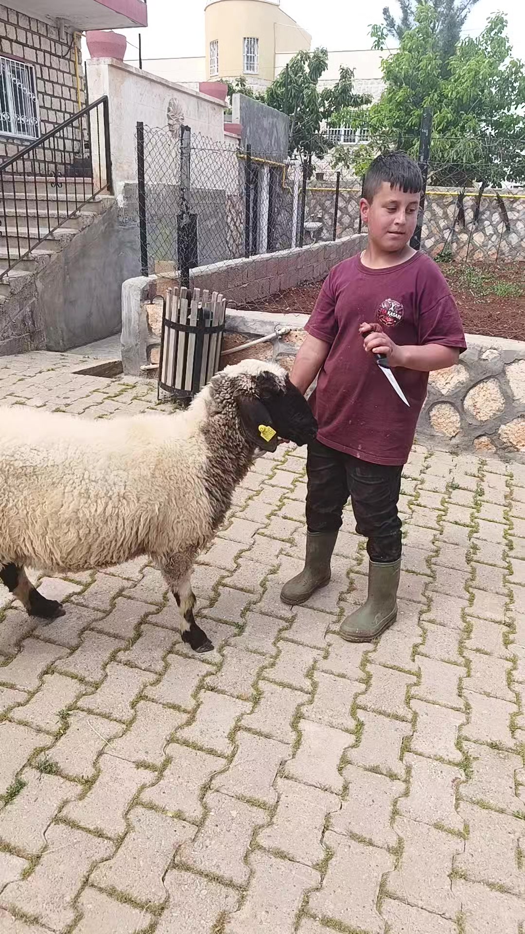 @hamza.tek
