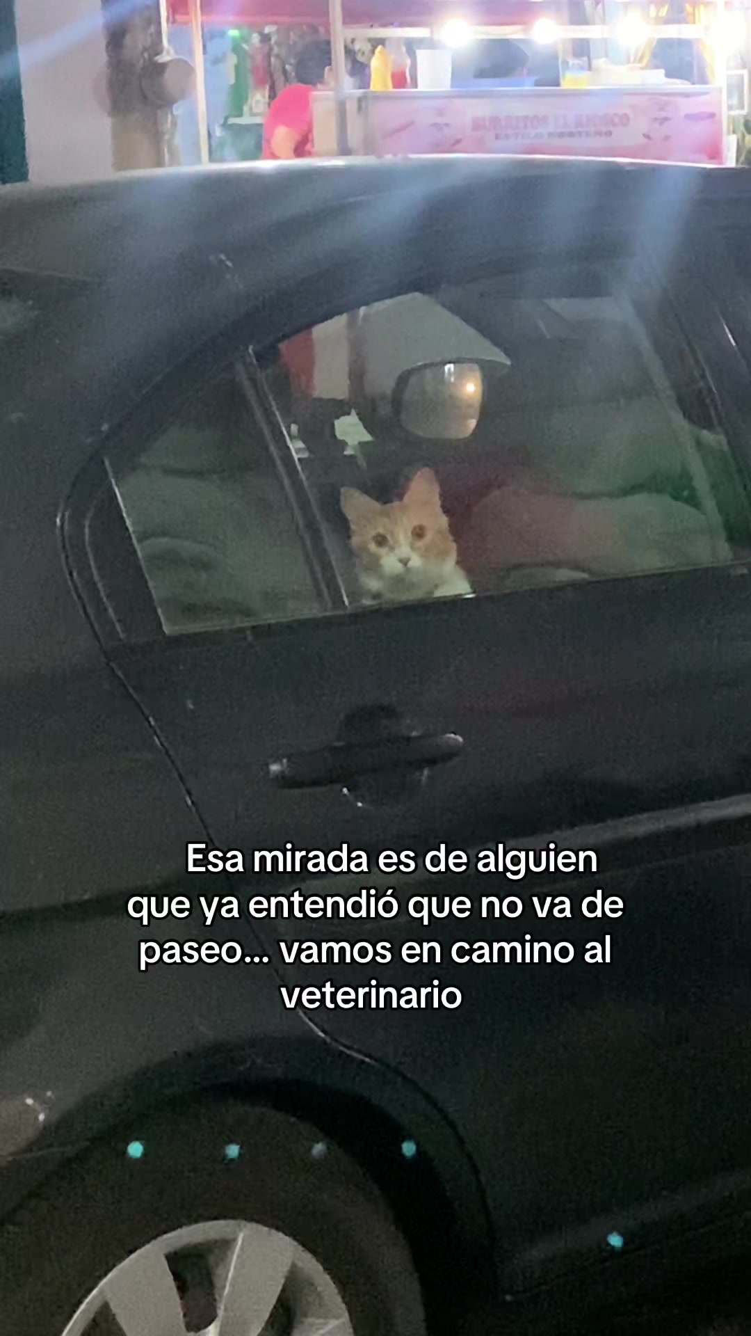 @Soy_Lumpi