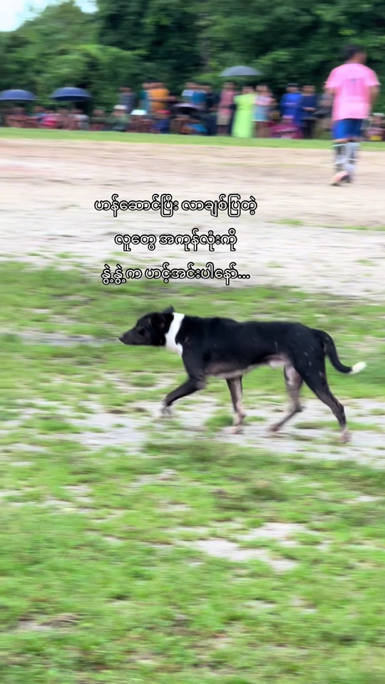 @๐ธ ๐๐ฆ๐๐๐๐ฃ ๐๐ ๐(๐๐๐)