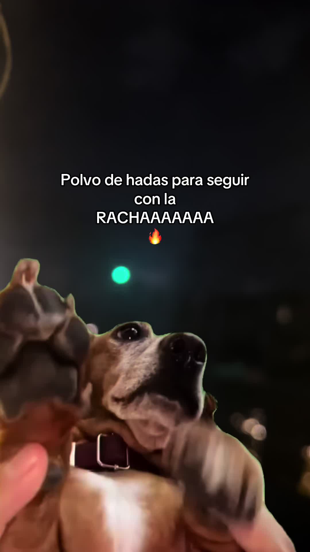 @Yamii ✨