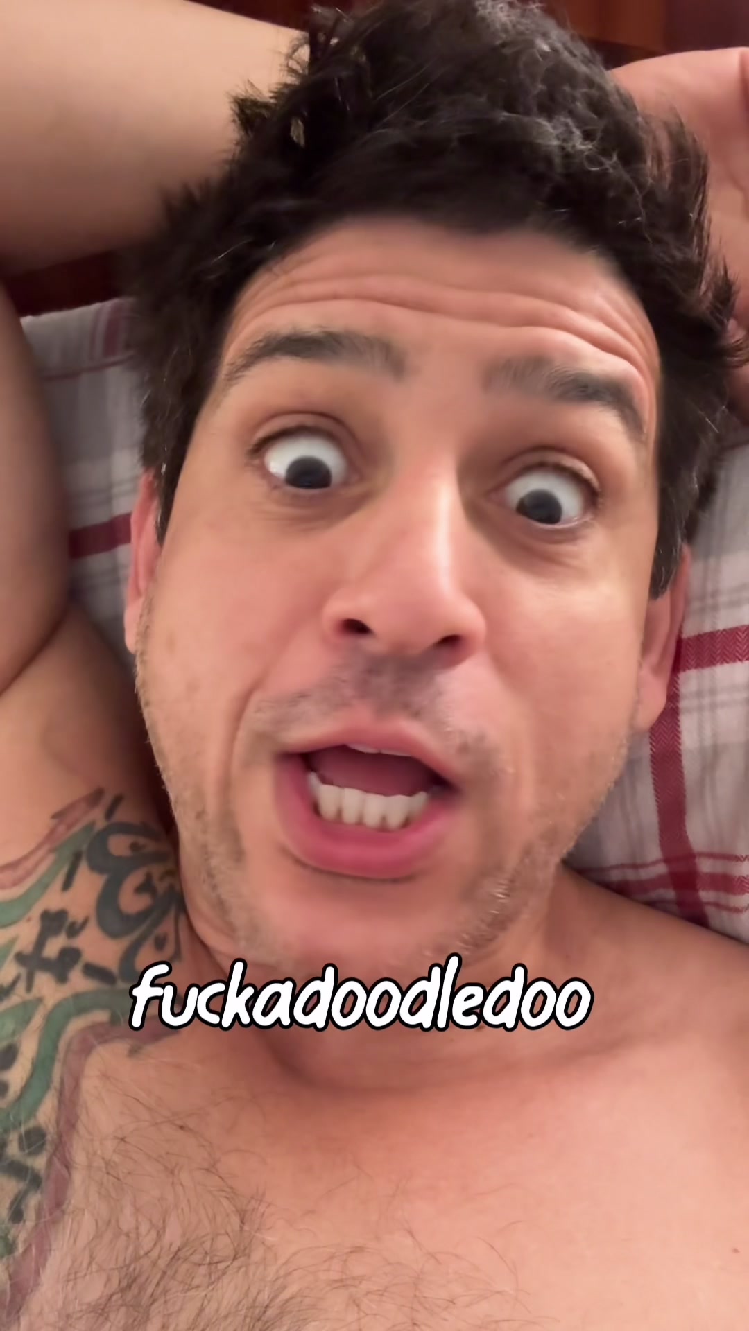 @tarekszoooo