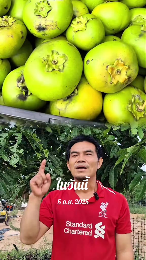 @Konloy