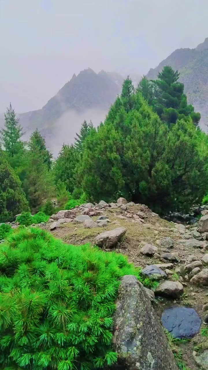 @💫👑 مھر 👑💫