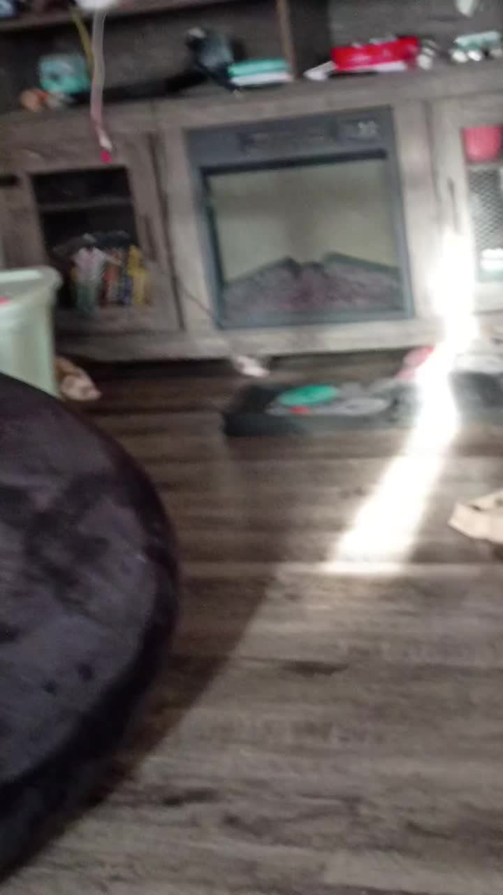 @tinyterror454