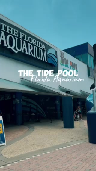 @Tampa Bay Moms Group