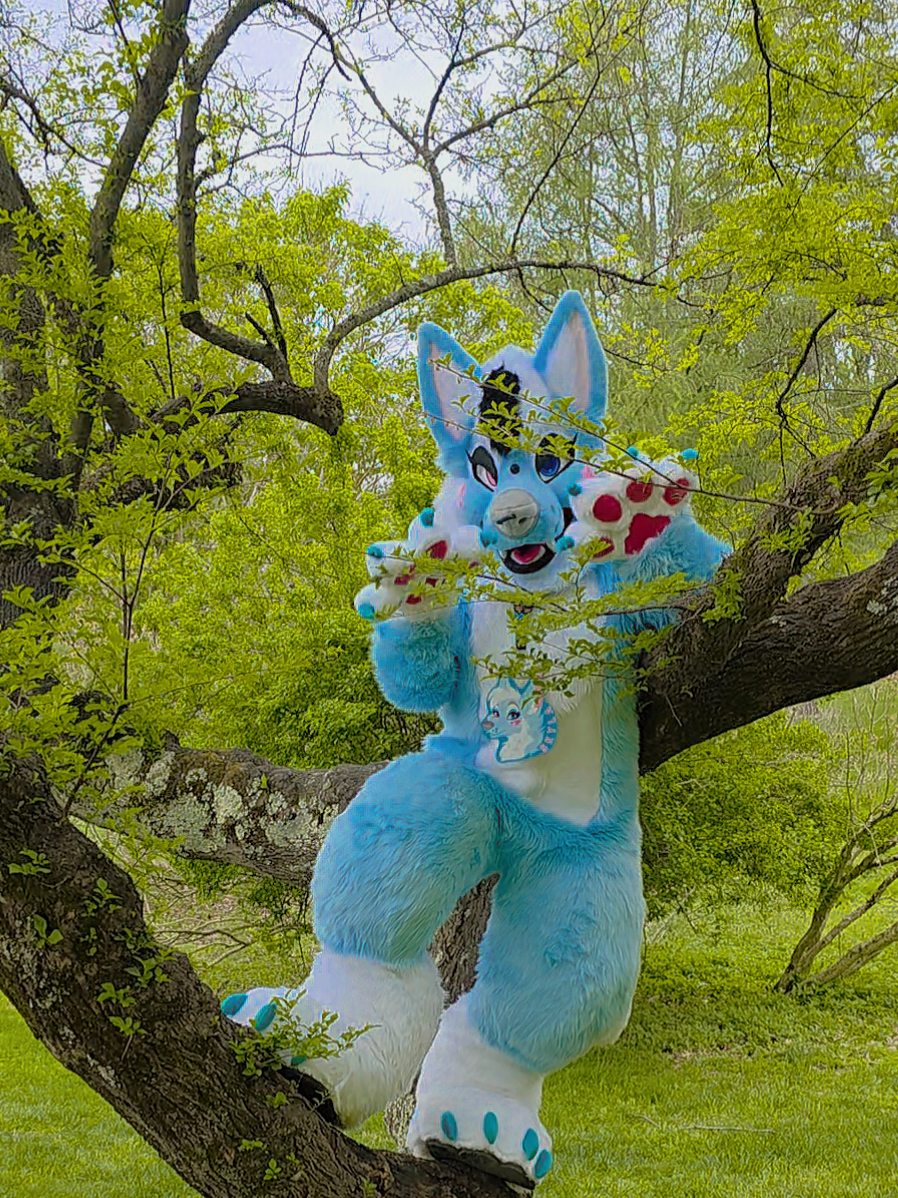 @✨️Skyla Vixen✨️