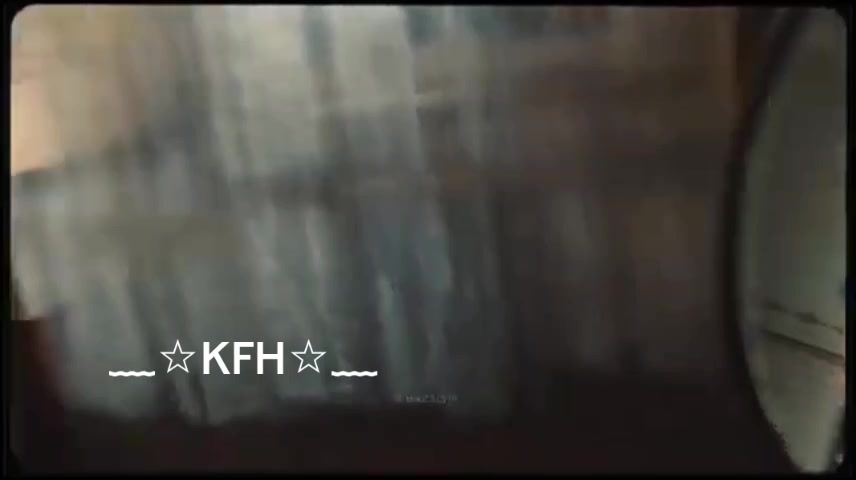 @🐹KIM 피트리 💫🪽