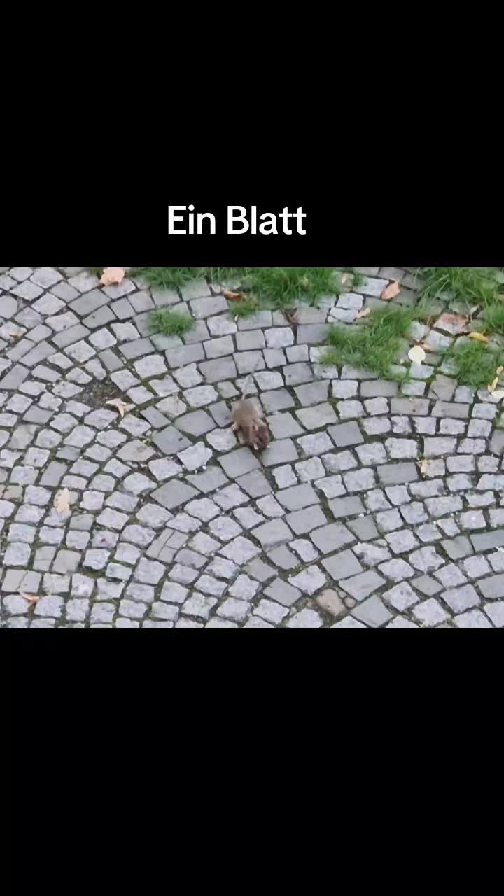 @Tarot Botschaft