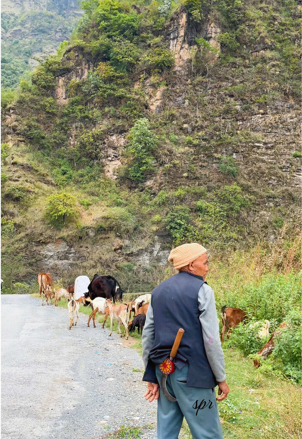 @Subas Pandey🏃&zwj;♂️🤷&zwj;♂️🇳🇵