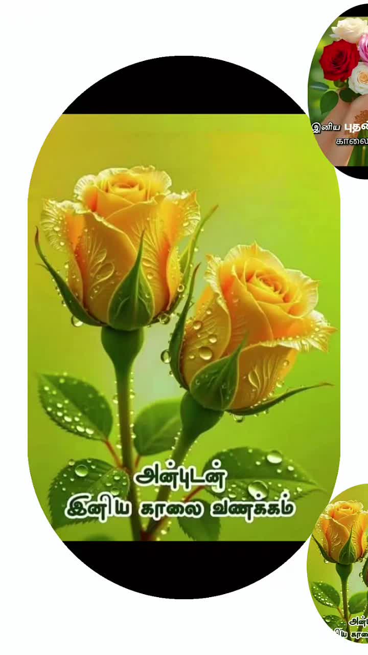 @Sai Meena