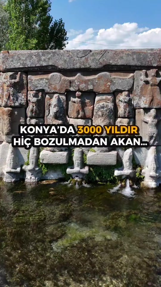 @&Ouml;zen Ce