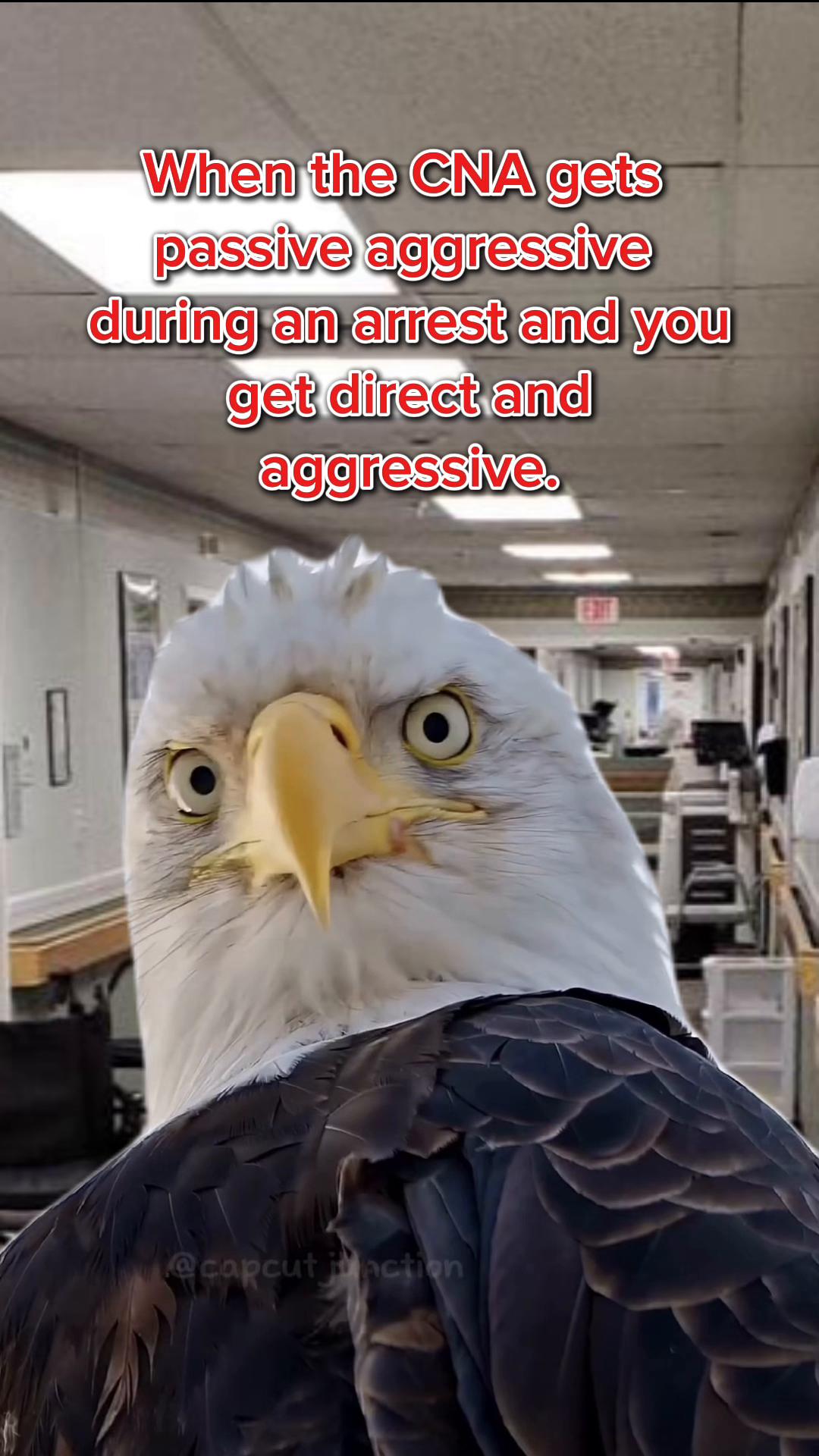 @Code Red Threads