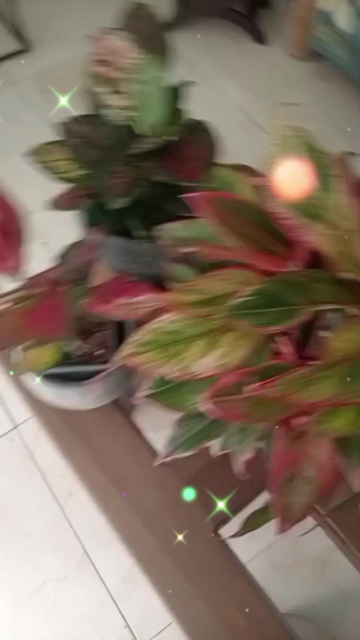 @anianita