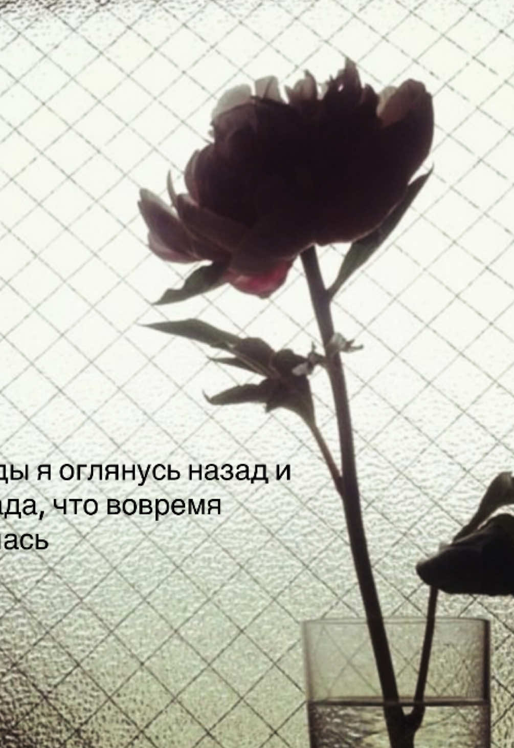 @nightmare