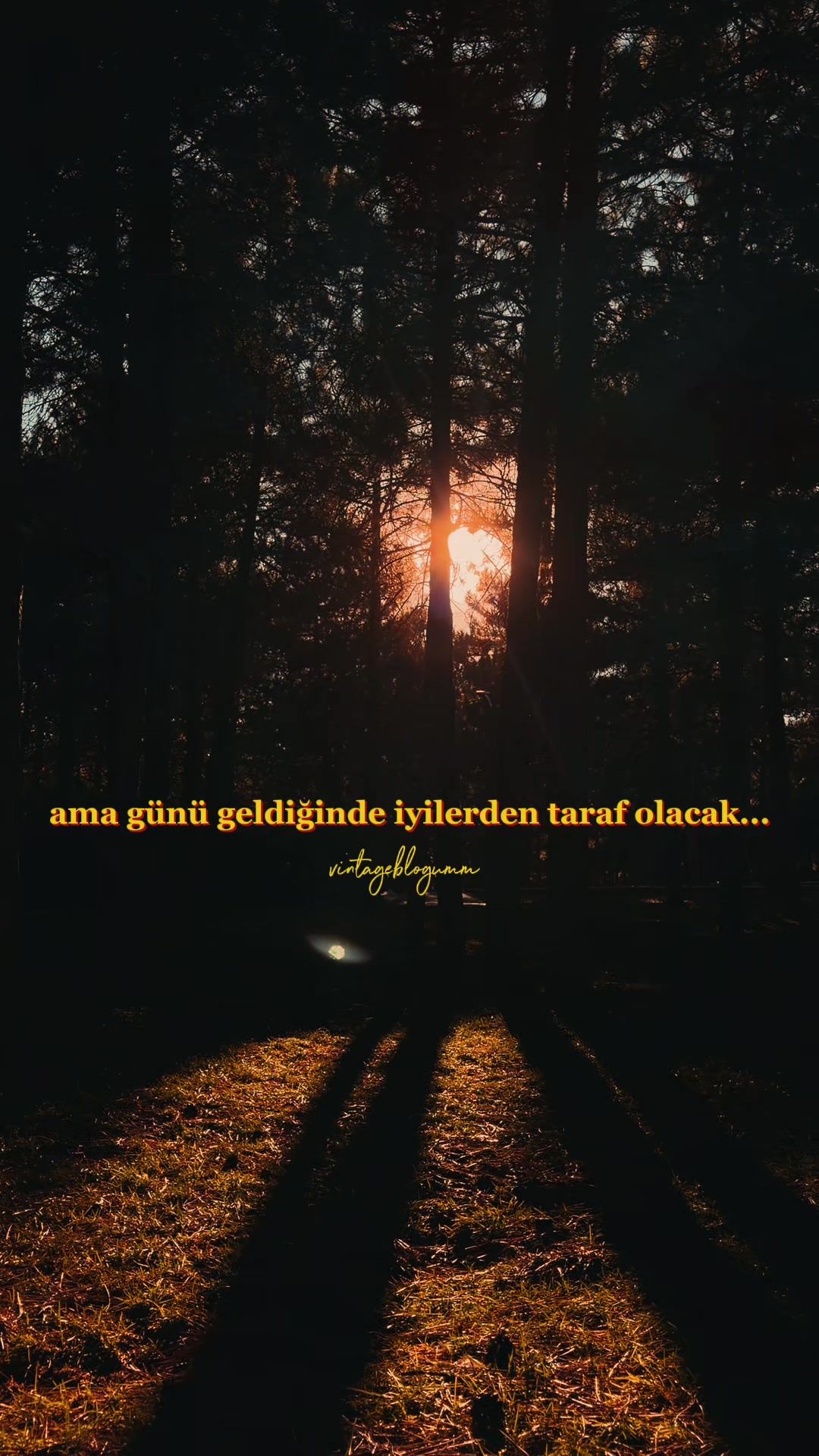 @ミ★ Yasemin Özlem Tabak ★彡
